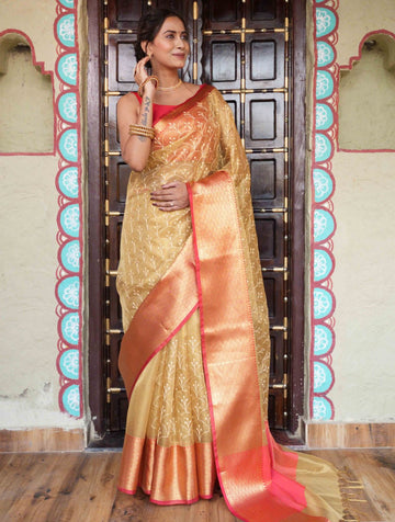 Grand Banarasi Tissue Silk Saree