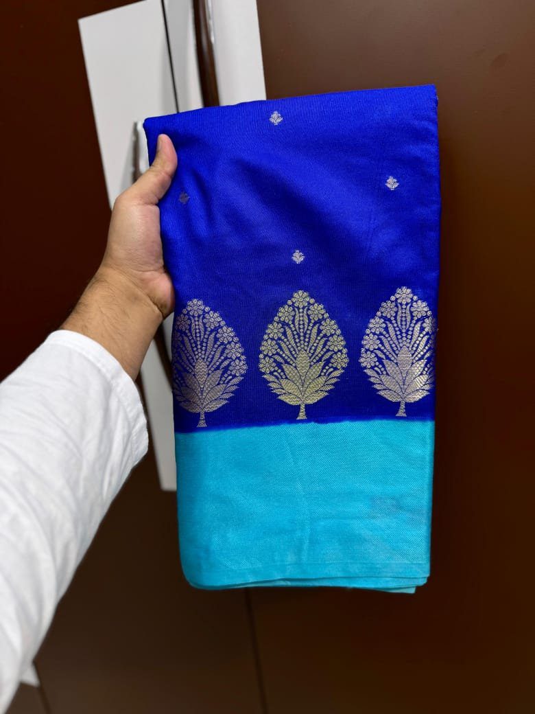 Banarasi Mango Silk Saree