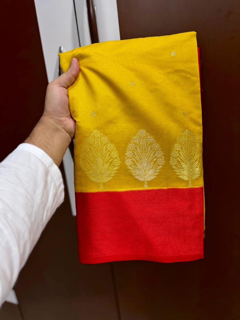 Banarasi Mango Silk Saree