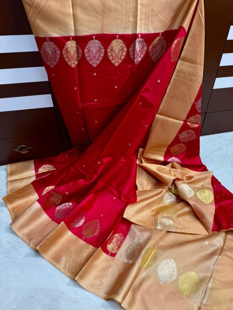 Banarasi Mango Silk Saree
