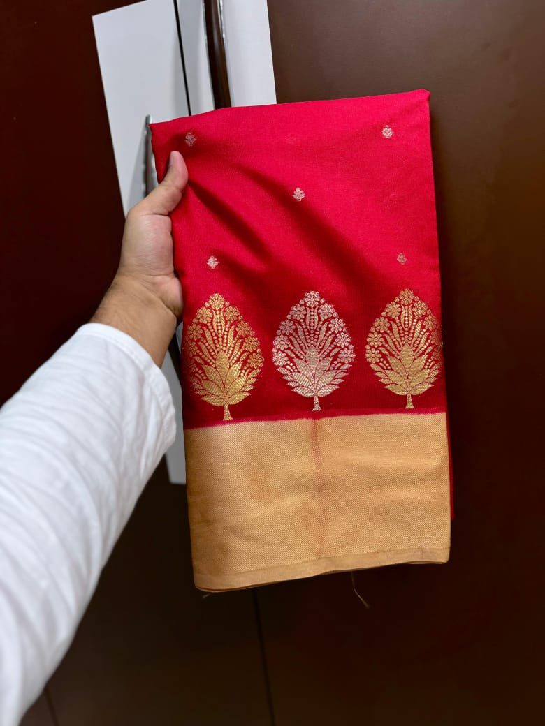 Banarasi Mango Silk Saree