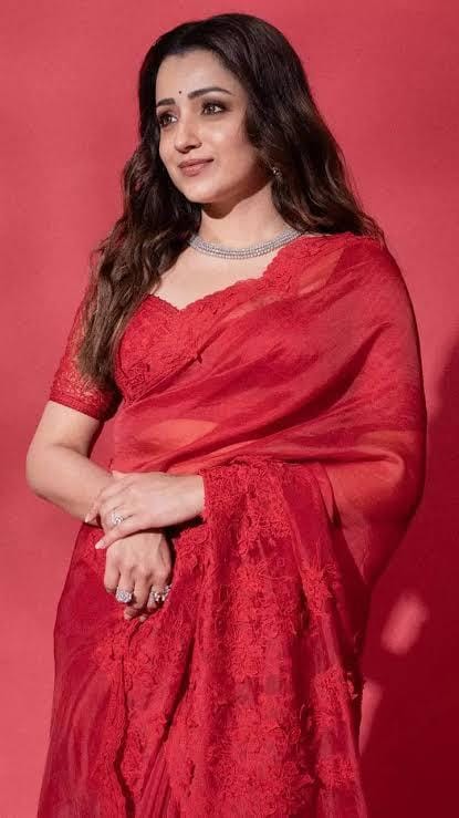Rich and Premium Soft Silky Flowy Organza Saree