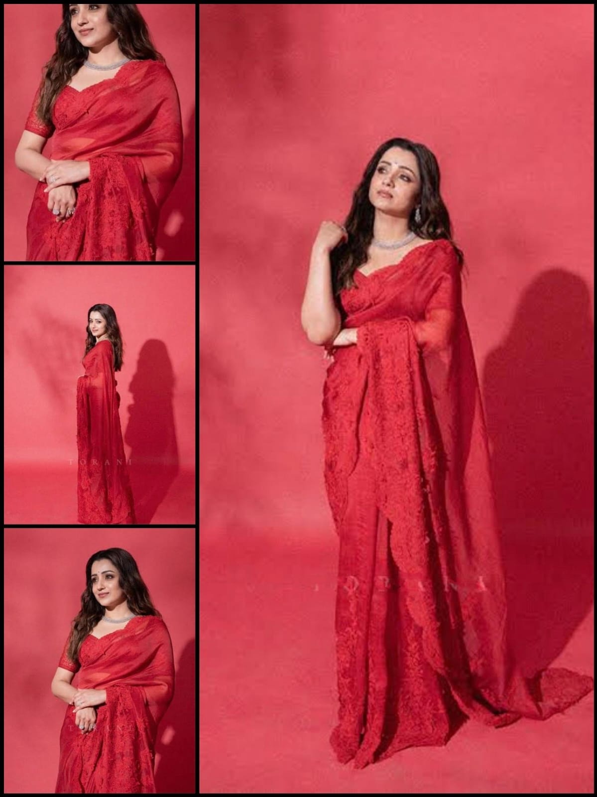 Rich and Premium Soft Silky Flowy Organza Saree