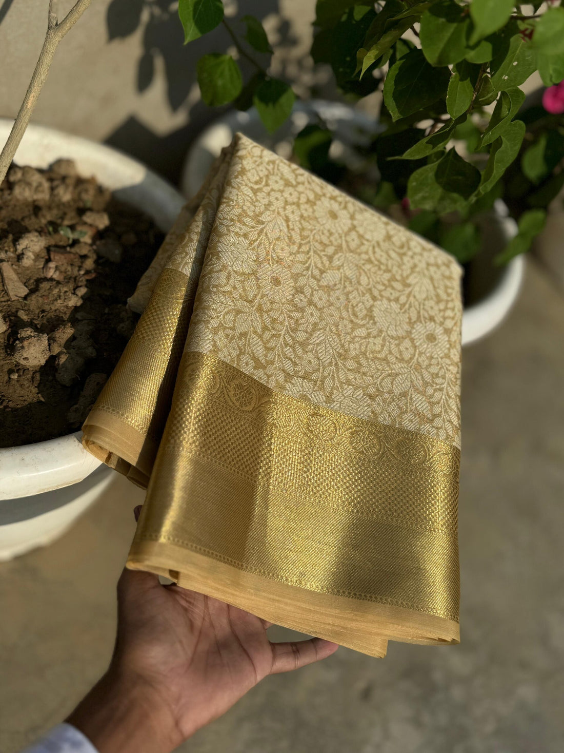 Gold Shade Banarasi Tissue Zari Saree