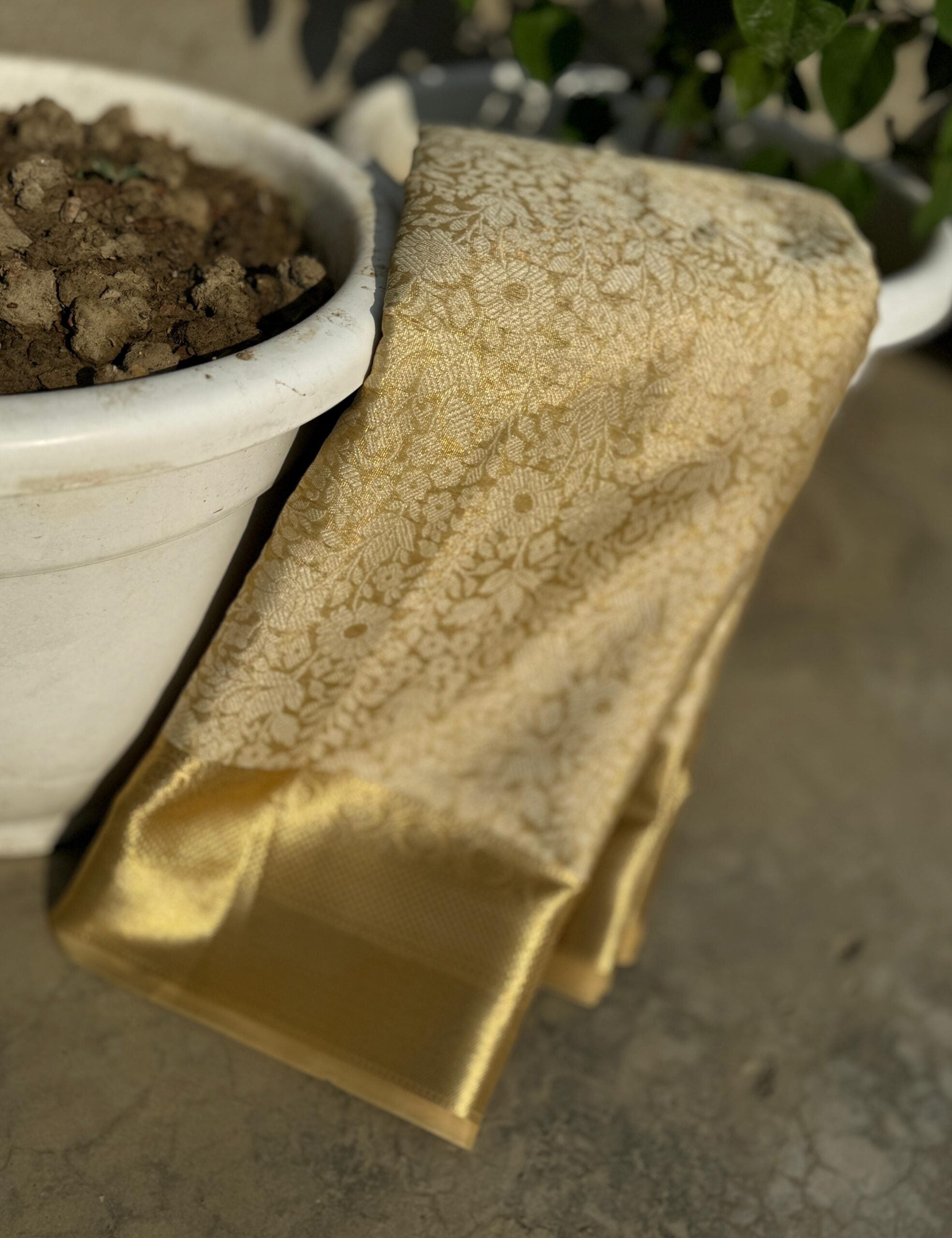 Gold Shade Banarasi Tissue Zari Saree