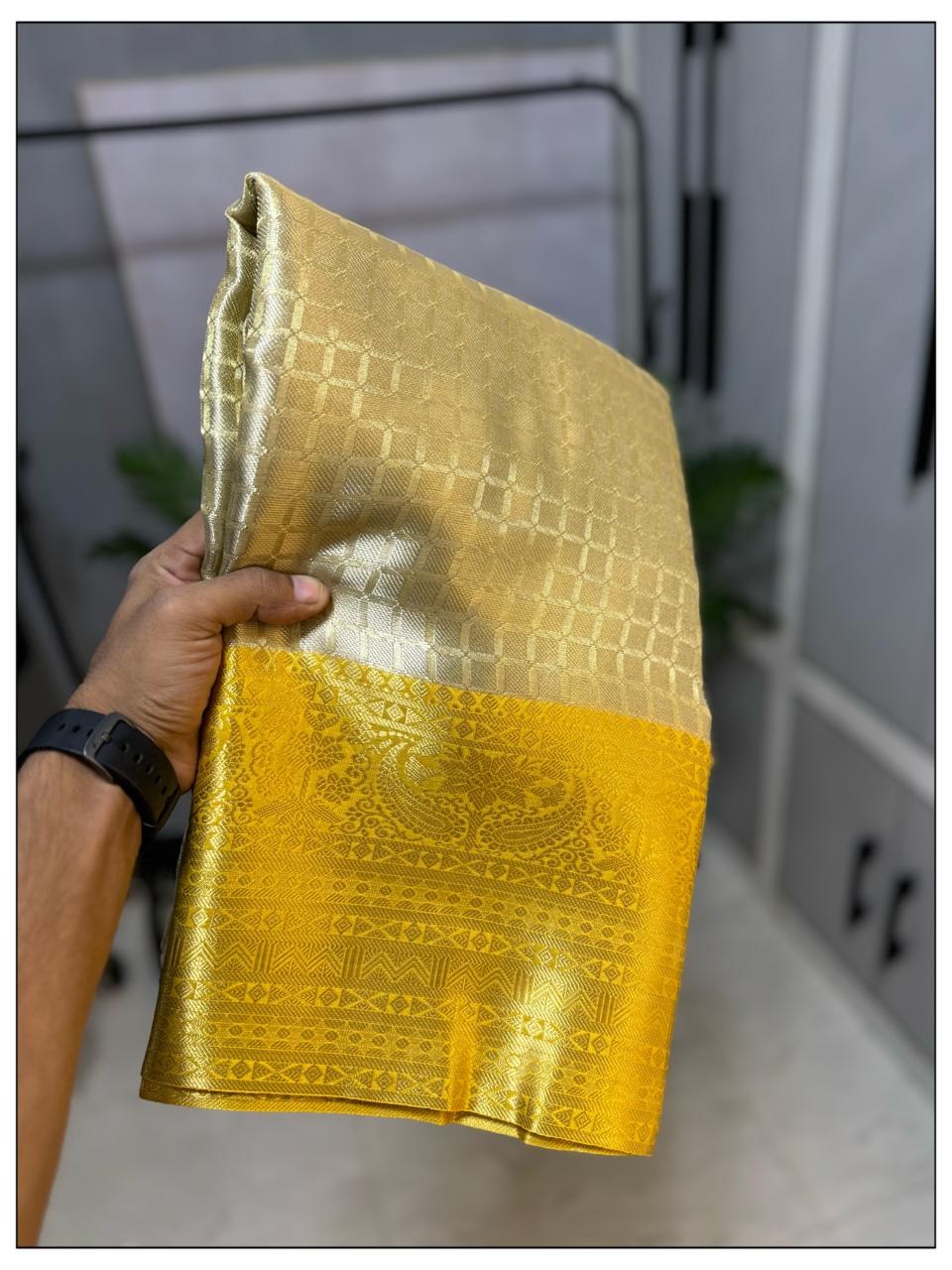 Party wear tissue saree with Kanchi border