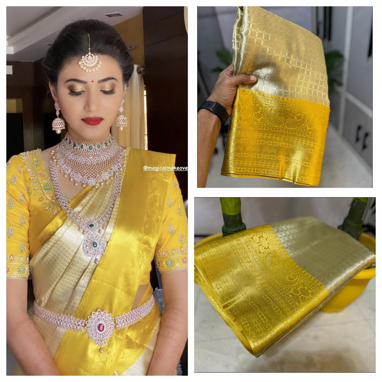 Party wear tissue saree with Kanchi border