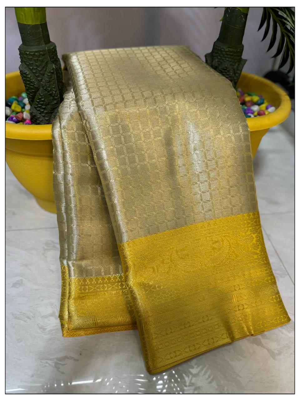 Party wear tissue saree with Kanchi border